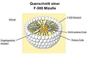 F-500 Mizelle Querschnitt